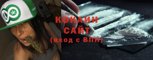 стаф Алзамай
