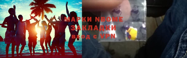 стаф Алзамай