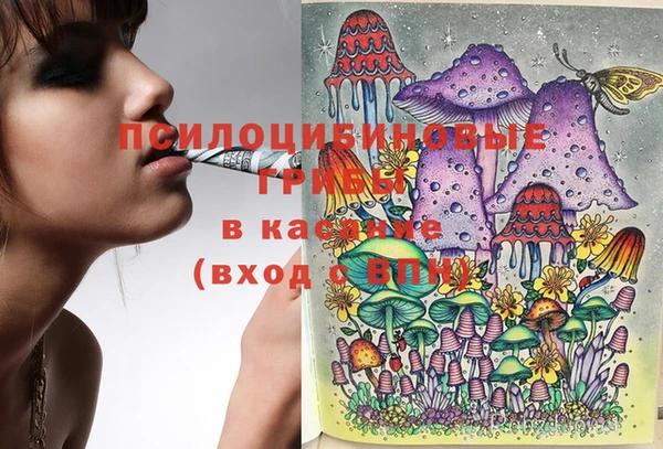 ешки Алексеевка