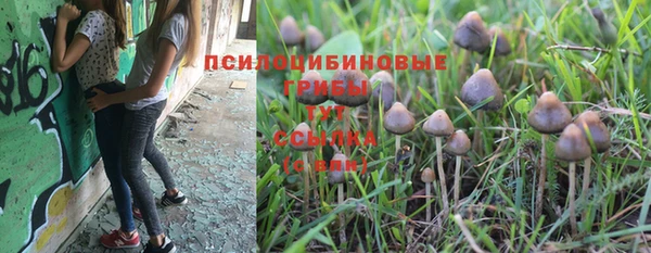 mix Алексин
