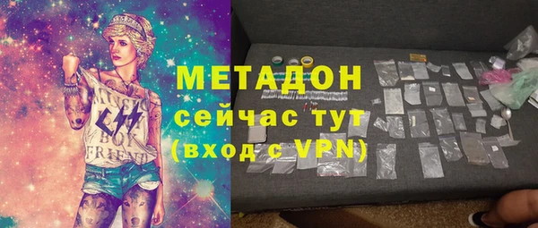 стаф Алзамай
