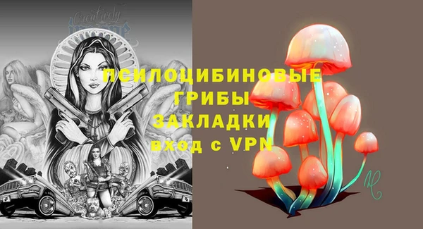 стаф Алзамай