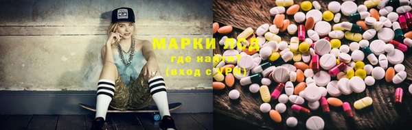 стаф Алзамай